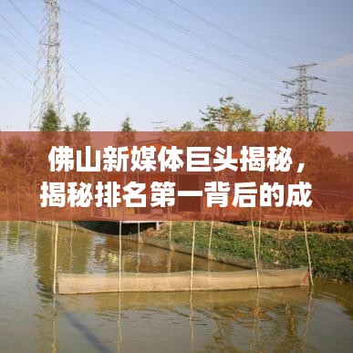 佛山新媒体巨头揭秘，揭秘排名第一背后的成功之道