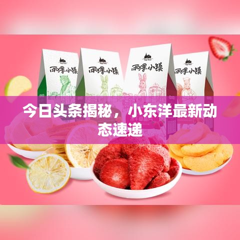 今日头条揭秘，小东洋最新动态速递