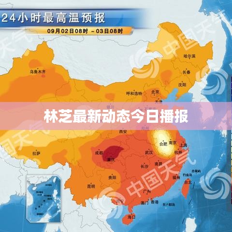 林芝最新动态今日播报