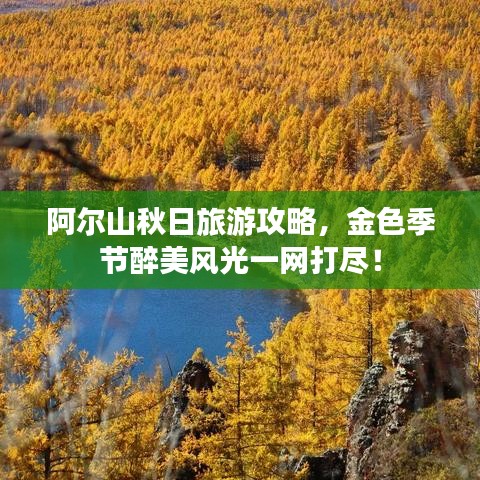 阿尔山秋日旅游攻略，金色季节醉美风光一网打尽！