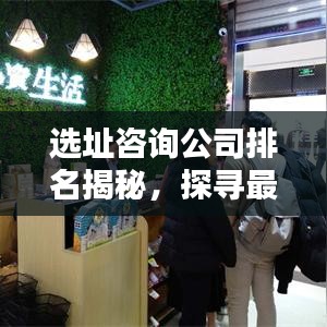 选址咨询公司排名揭秘，探寻最佳合作伙伴的权威指南