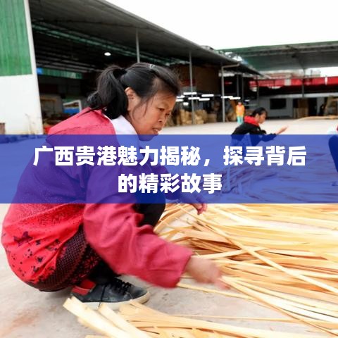 广西贵港魅力揭秘，探寻背后的精彩故事