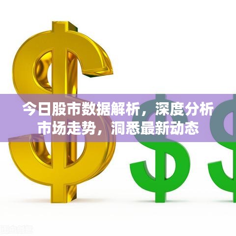今日股市数据解析，深度分析市场走势，洞悉最新动态