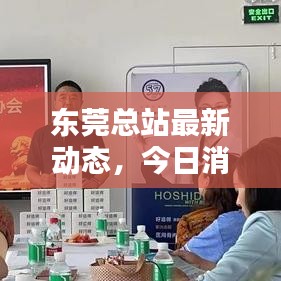 东莞总站最新动态，今日消息一览无余