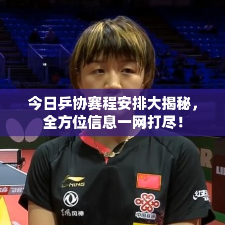 今日乒协赛程安排大揭秘，全方位信息一网打尽！