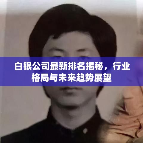 白银公司最新排名揭秘，行业格局与未来趋势展望