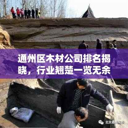 通州区木材公司排名揭晓，行业翘楚一览无余！
