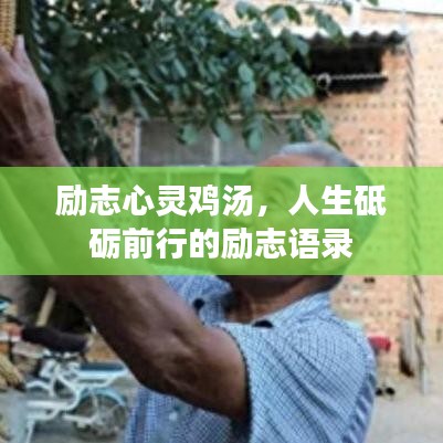 励志心灵鸡汤，人生砥砺前行的励志语录