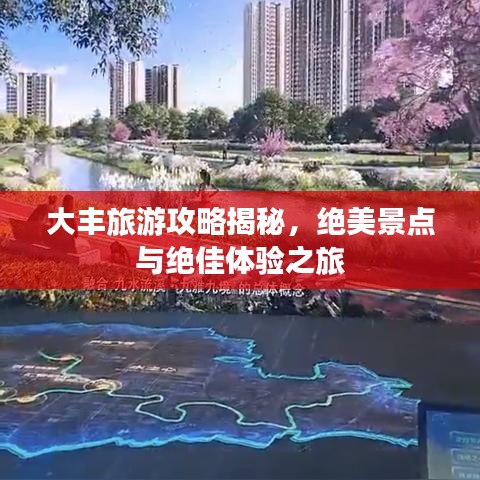 大丰旅游攻略揭秘，绝美景点与绝佳体验之旅