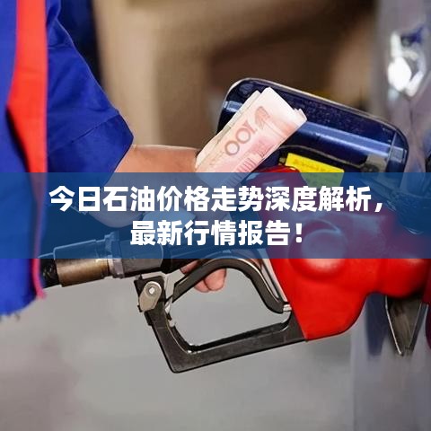 今日石油价格走势深度解析，最新行情报告！