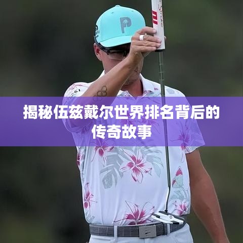 揭秘伍兹戴尔世界排名背后的传奇故事