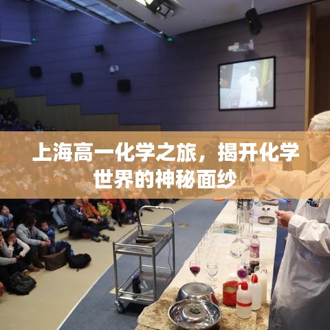 上海高一化学之旅，揭开化学世界的神秘面纱