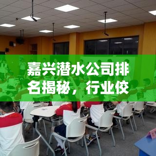 嘉兴潜水公司排名揭秘，行业佼佼者深度探寻