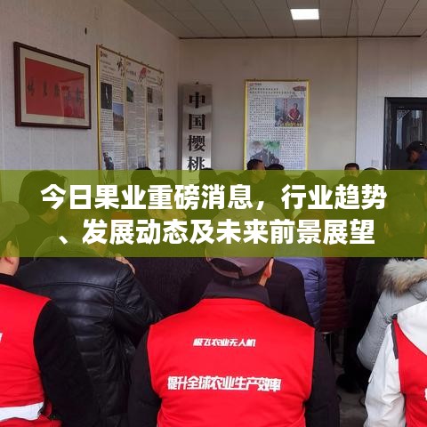 今日果业重磅消息，行业趋势、发展动态及未来前景展望