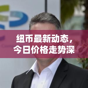 纽币最新动态，今日价格走势深度解析