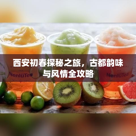 西安初春探秘之旅，古都韵味与风情全攻略