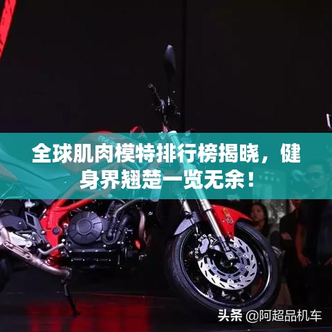 全球肌肉模特排行榜揭晓，健身界翘楚一览无余！