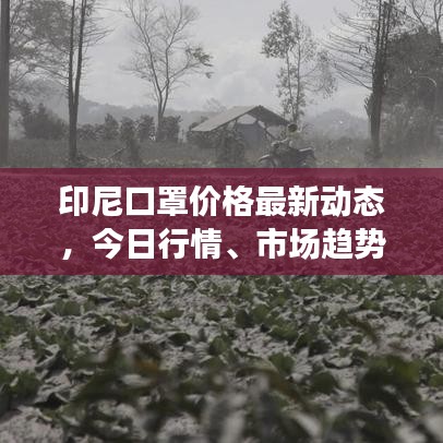 印尼口罩价格最新动态，今日行情、市场趋势及影响因素深度解析