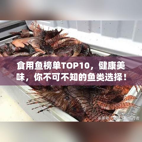 食用鱼榜单TOP10，健康美味，你不可不知的鱼类选择！