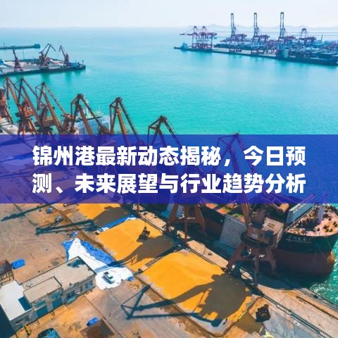 锦州港最新动态揭秘，今日预测、未来展望与行业趋势分析