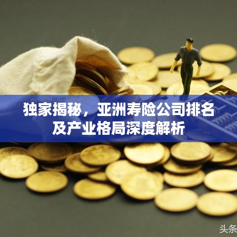 独家揭秘，亚洲寿险公司排名及产业格局深度解析