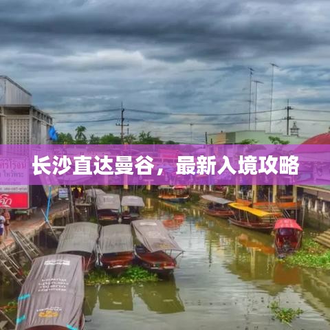 新闻中心 第217页