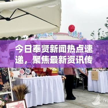 今日奉贤新闻热点速递，聚焦最新资讯传递