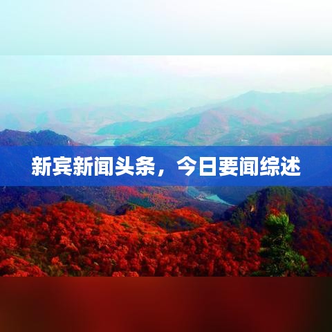 新宾新闻头条，今日要闻综述