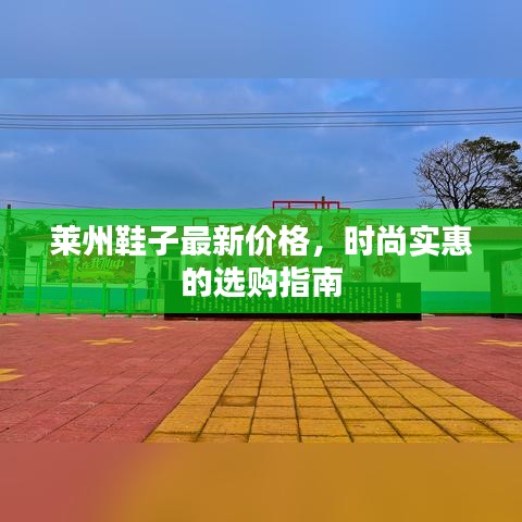 莱州鞋子最新价格，时尚实惠的选购指南