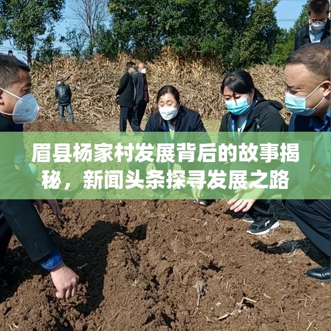 眉县杨家村发展背后的故事揭秘，新闻头条探寻发展之路