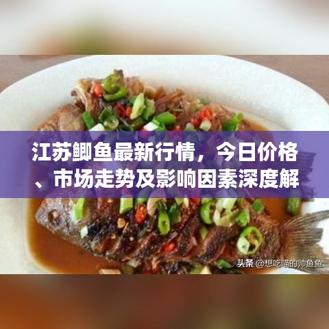 江苏鲫鱼最新行情，今日价格、市场走势及影响因素深度解析