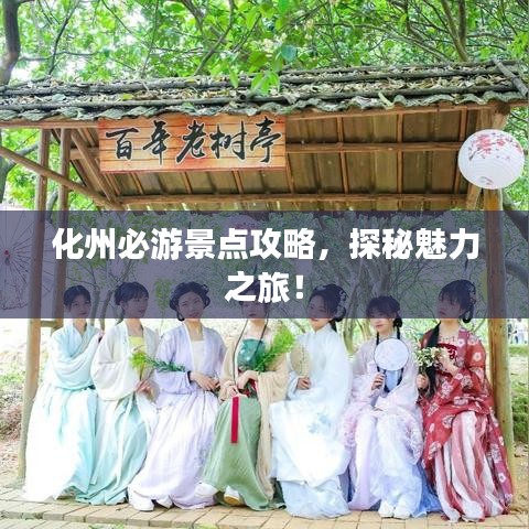 化州必游景点攻略，探秘魅力之旅！