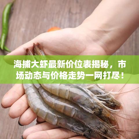 海捕大虾最新价位表揭秘，市场动态与价格走势一网打尽！