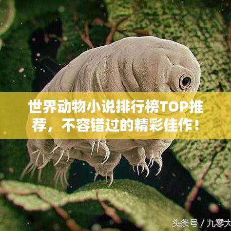 世界动物小说排行榜TOP推荐，不容错过的精彩佳作！