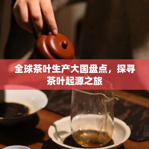 全球茶叶生产大国盘点，探寻茶叶起源之旅
