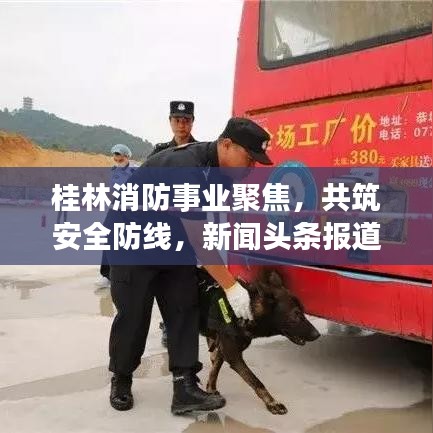 桂林消防事业聚焦，共筑安全防线，新闻头条报道