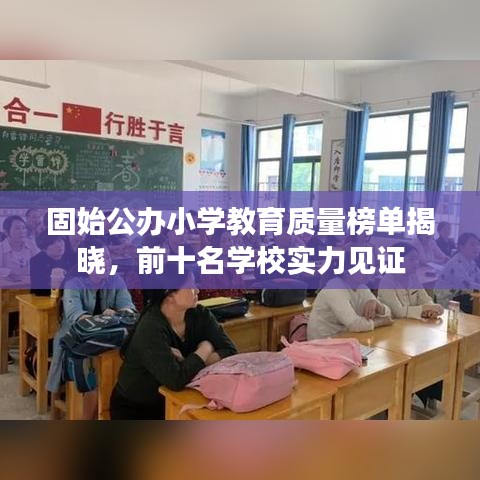 固始公办小学教育质量榜单揭晓，前十名学校实力见证