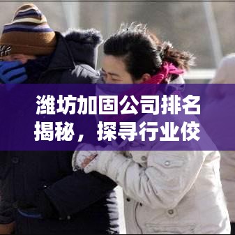 潍坊加固公司排名揭秘，探寻行业佼佼者，专业护航您的工程项目