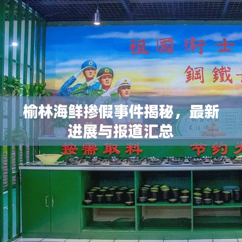 榆林海鲜掺假事件揭秘，最新进展与报道汇总