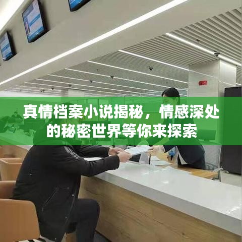 真情档案小说揭秘，情感深处的秘密世界等你来探索
