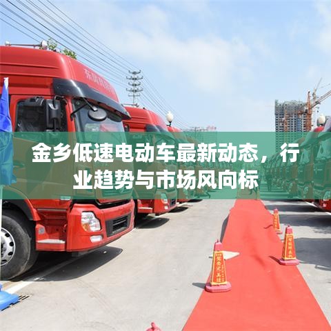 金乡低速电动车最新动态，行业趋势与市场风向标