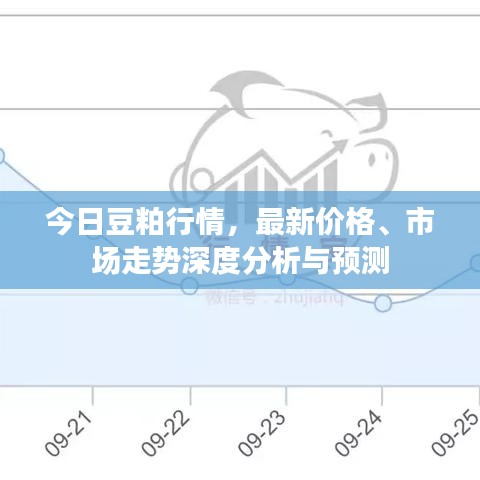 今日豆粕行情，最新价格、市场走势深度分析与预测