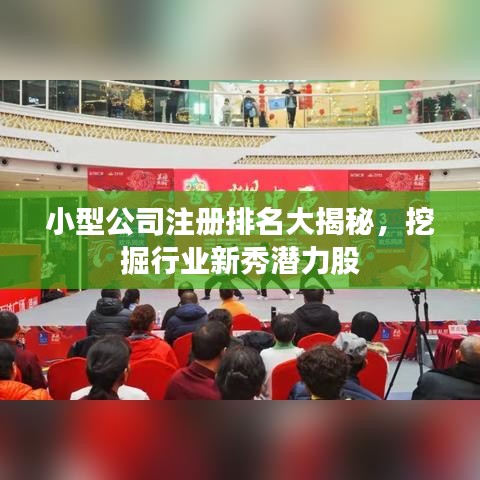 小型公司注册排名大揭秘，挖掘行业新秀潜力股