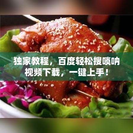 独家教程，百度轻松搜唢呐视频下载，一键上手！