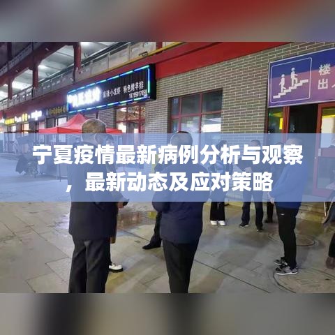 宁夏疫情最新病例分析与观察，最新动态及应对策略