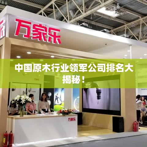 中国原木行业领军公司排名大揭秘！