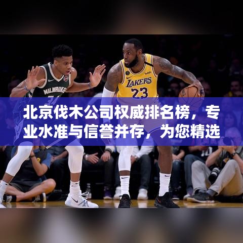 北京伐木公司权威排名榜，专业水准与信誉并存，为您精选优质企业！