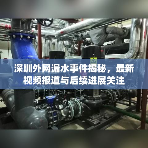 深圳外网漏水事件揭秘，最新视频报道与后续进展关注