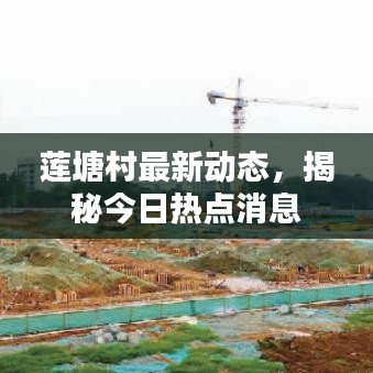 莲塘村最新动态，揭秘今日热点消息