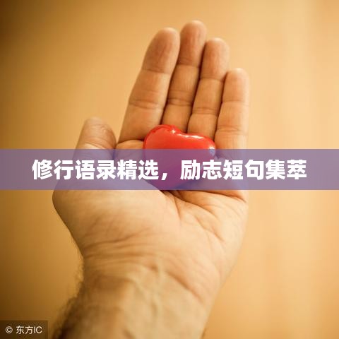 修行语录精选，励志短句集萃
